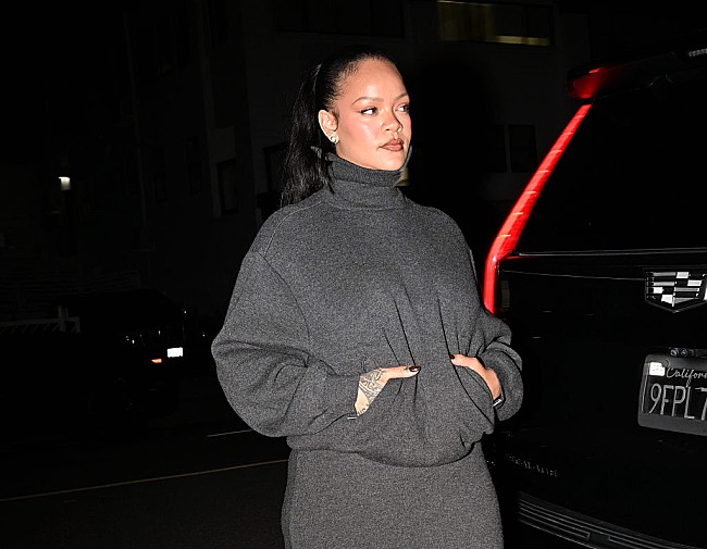 「リアーナ邸銃撃事件の容疑者、殺人未遂罪に無罪を主張」1枚目/1