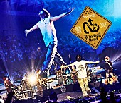 「Novelbright LIVE Blu-ray『Novelbright ARENA TOUR 2025 ～Winding Road～ at 神戸ワールド記念ホール』」5枚目/6