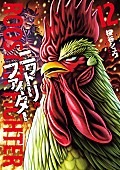 「桜谷シュウ『ニワトリ・ファイター』12巻発売 4/5より日本でもアニメ放送開始」1枚目/6