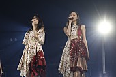 「乃木坂46 日本大学サプライズ出演 ライブ写真」11枚目/19