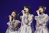 「乃木坂46 日本大学サプライズ出演 ライブ写真」13枚目/19