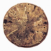 「角銅真実 配信シングル「ほろろ逍遥」」2枚目/3