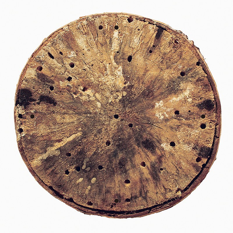 「角銅真実 配信シングル「ほろろ逍遥」」2枚目/3