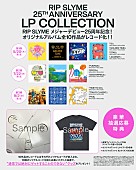 「RIP SLYME 、オリジナルアルバム全10作品のレコード」2枚目/12