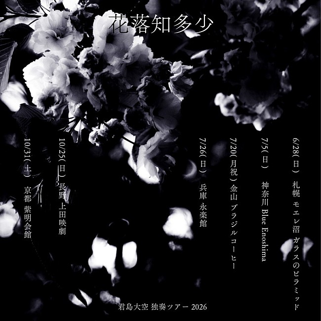 「【君島大空 独奏ツアー 2026 “花落知多少” 】」3枚目/3