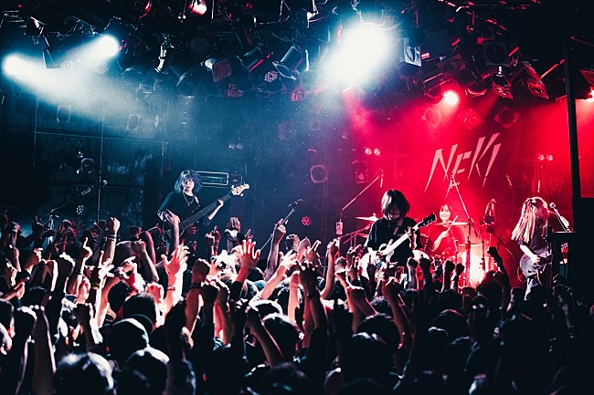 「＜ライブレポート＞NEK!、大盛り上がりのツアーファイナルから踏み出した新たなスタート」1枚目/9