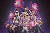 「花冷え。、TVアニメ『対ありでした。』OP主題歌を担当＆ティザーPV第2弾が解禁」1枚目/2
