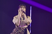「」11枚目/16