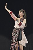「」14枚目/16