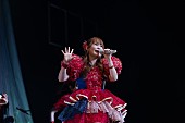 「」8枚目/13