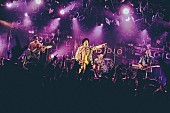 「Live Photo by umihayato」12枚目/13