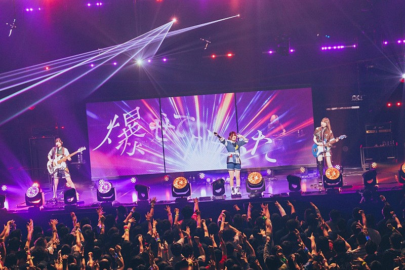 「＜ライブレポート＞初の全国ツアーを完走　トゲナシトゲアリが示したライブバンドの矜持」1枚目/15