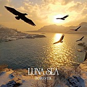 「LUNA SEA、新曲「FOREVER」ジャケット＆最新ティザー映像公開」1枚目/2