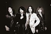 「THE YELLOW MONKEY、新たなライブツアー開催決定」1枚目/1