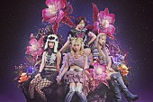 「花冷え。、“ライブで言い忘れ”た【JAPAN 2MAN TOUR 2026】改めて発表」1枚目/2