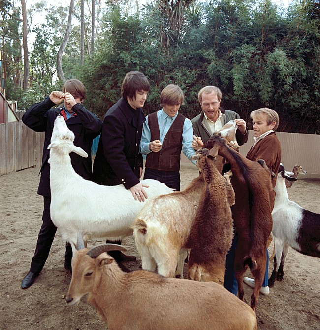 「ビーチ・ボーイズ名盤『ペット・サウンズ』全米ダブル・プラチナ認定、サンディエゴ動物園とのコラボ動画公開」1枚目/4