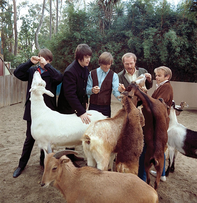 「ビーチ・ボーイズ名盤『ペット・サウンズ』全米ダブル・プラチナ認定、サンディエゴ動物園とのコラボ動画公開」1枚目/4