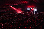 「」5枚目/26