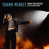 「ショーン・メンデス、10周年を記念して「Treat You Better (Live From New York)」を配信」1枚目/2