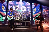 「ブリンク182、代表作『テイク・オフ・ユア・パンツ・アンド・ジャケット』25周年記念企画を準備中か」1枚目/1