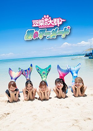 豆柴の大群「豆柴の大群、ニューSG「裸のマーメード」収録内容&ジャケ写公開」